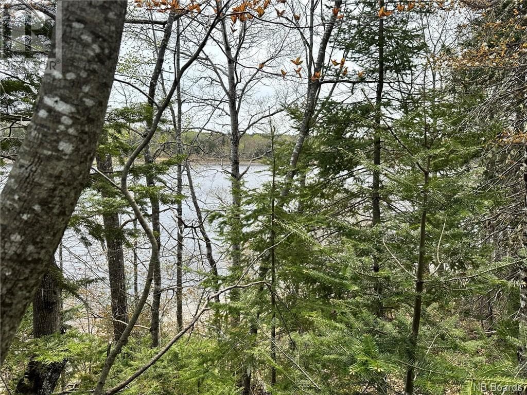 334 HEC ROUTE 108, New Brunswick — photo 5