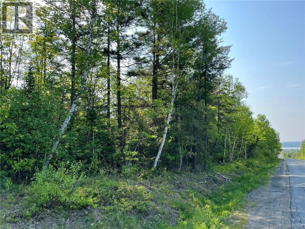 10.2 acres Hansen Road, New Brunswick — photo 4