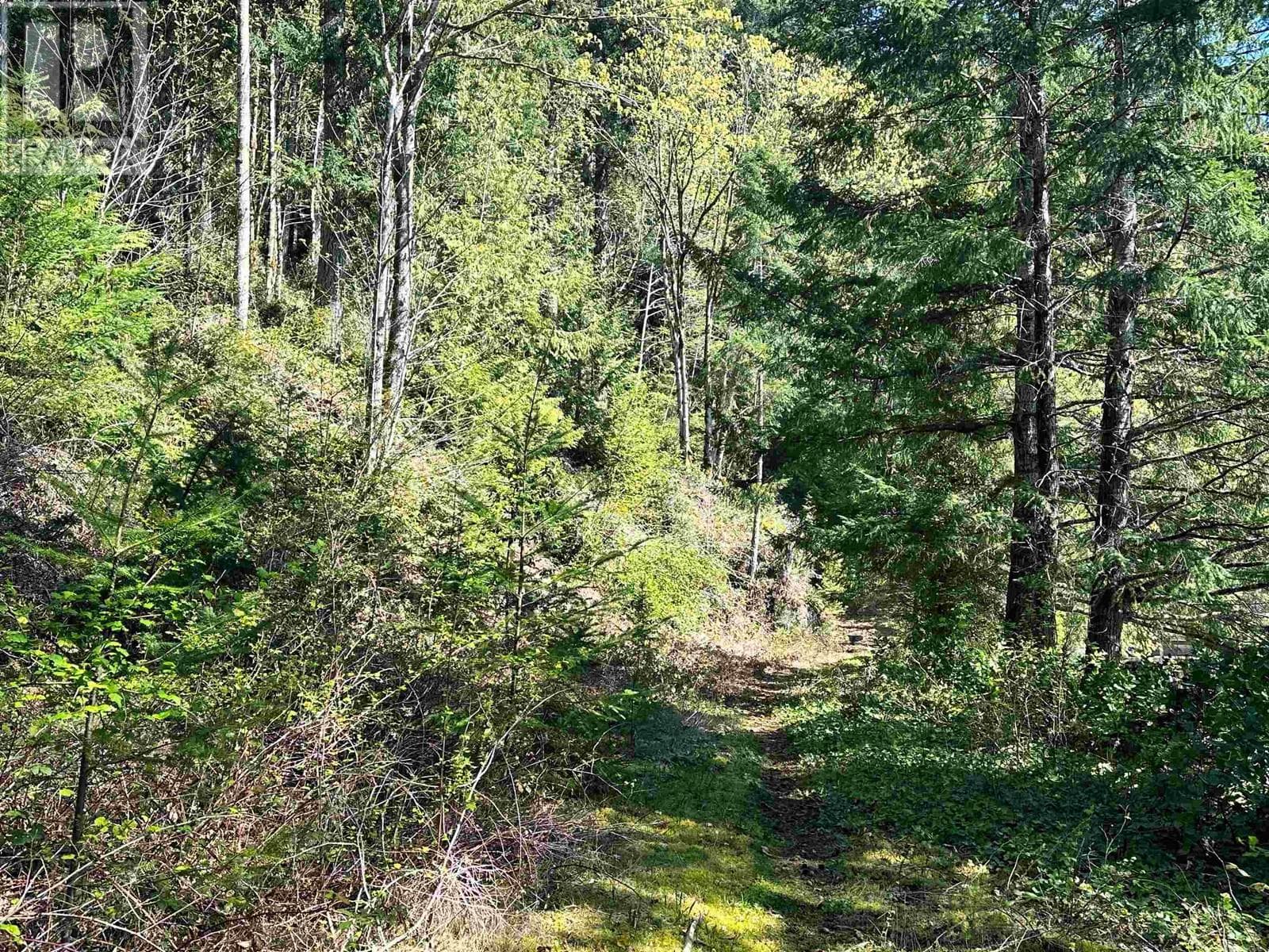 DALE 4055 EAST DARK COVE JERVIS ROAD, Greater Vancouver — photo 3