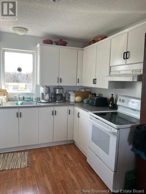 415 CHALEUR STREET, New Brunswick — photo 4