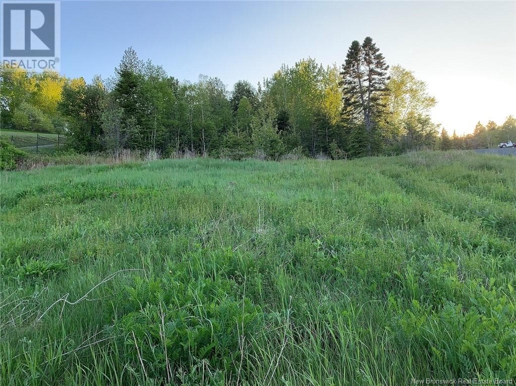428 RTE 275 Darlington Drive, New Brunswick — photo 4