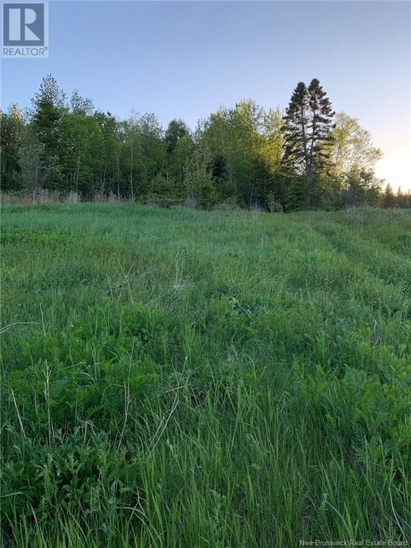 428 RTE 275 Darlington Drive, New Brunswick — photo 5