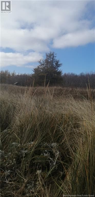 LOT ROUTE 117, New Brunswick — photo 5