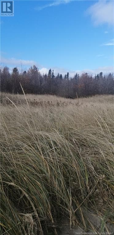 LOT ROUTE 117, New Brunswick — photo 4