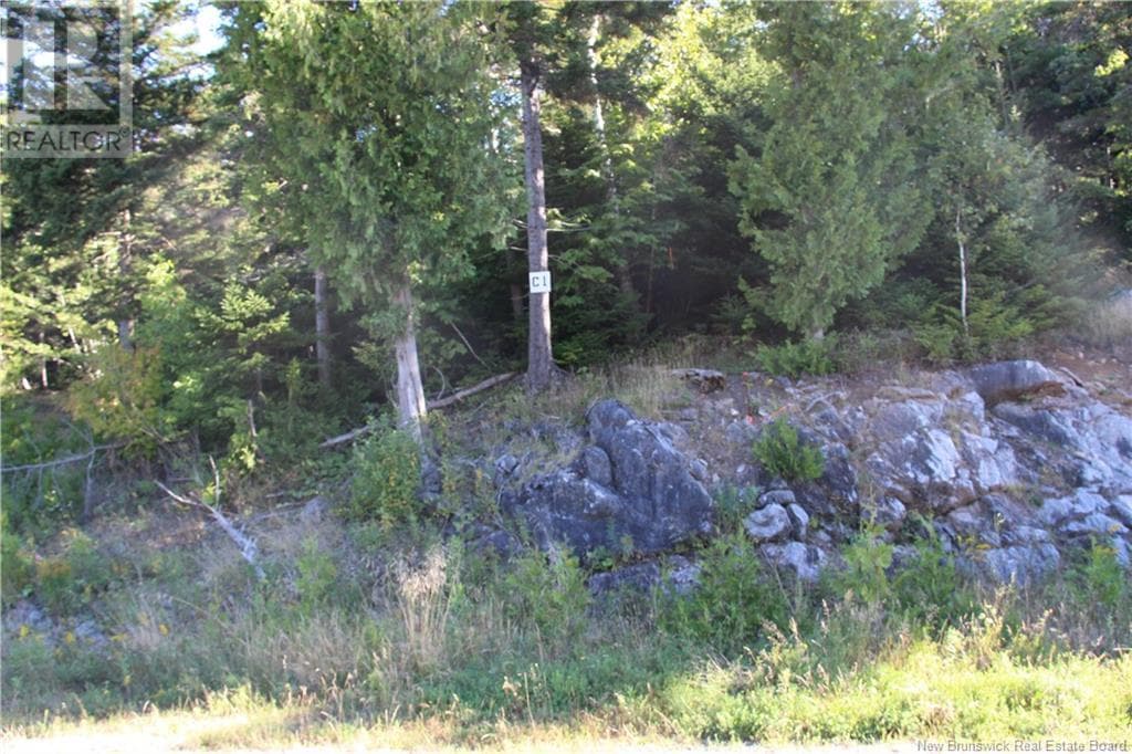 00 Drury Cove Road, New Brunswick — photo 2