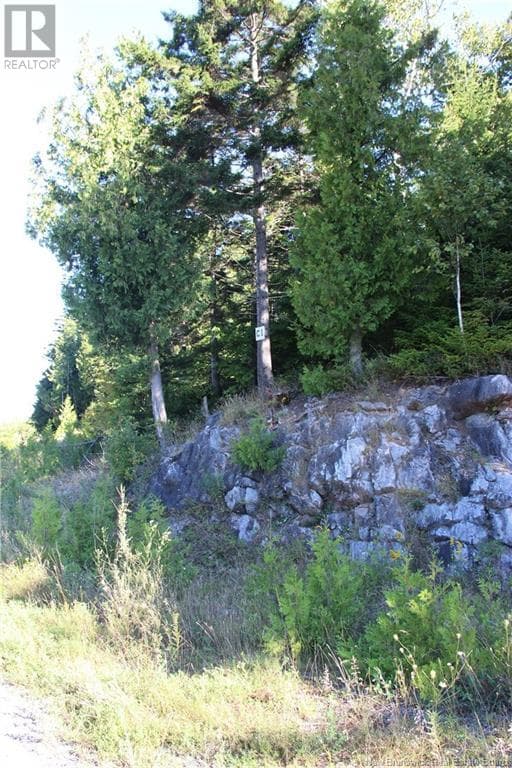 00 Drury Cove Road, New Brunswick — photo 3