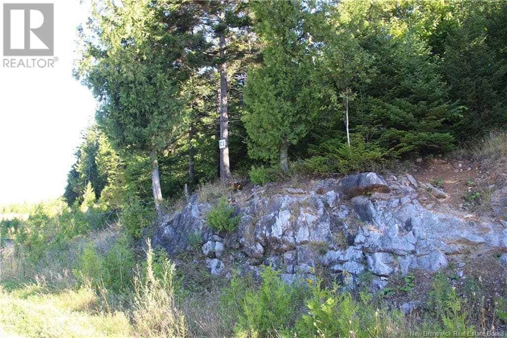 00 Drury Cove Road, New Brunswick — photo 4