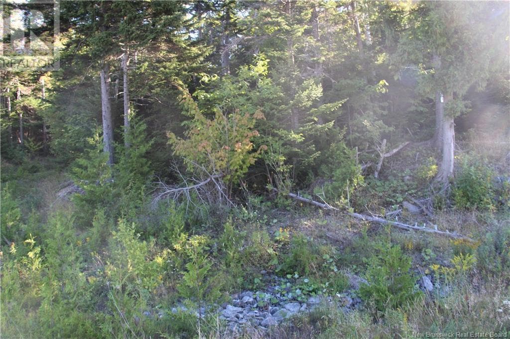 00 Drury Cove Road, New Brunswick — photo 5