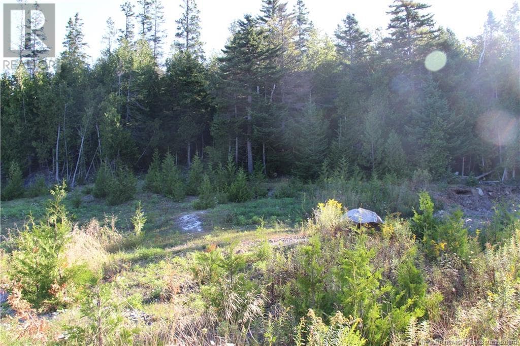 00 Shoreline Drive, New Brunswick — photo 4
