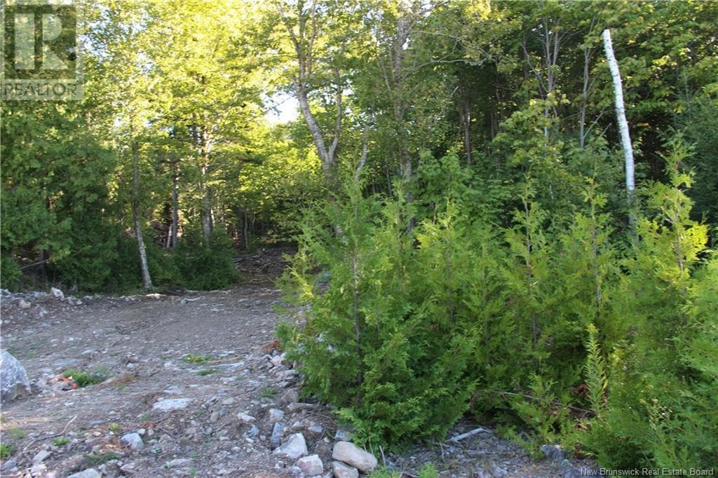 00 Shoreline Drive, New Brunswick — photo 3