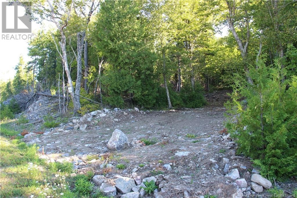 00 Shoreline Drive, New Brunswick — photo 4