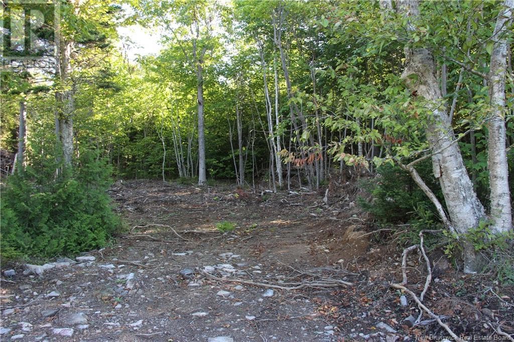 00 Shoreline Drive, New Brunswick — photo 5