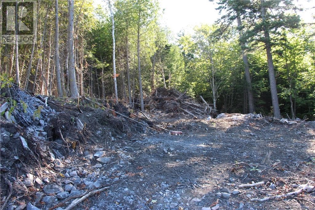 00 Shoreline Drive, New Brunswick — photo 3