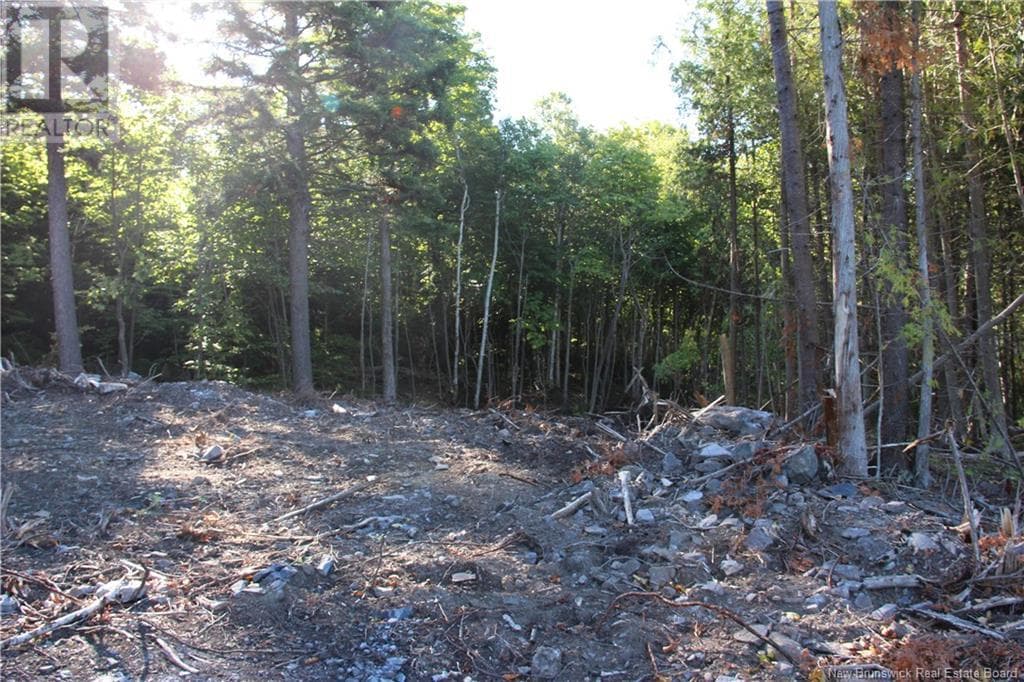 00 Shoreline Drive, New Brunswick — photo 5