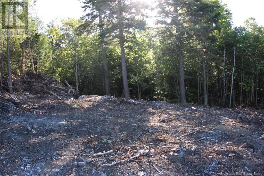 00 Shoreline Drive, New Brunswick — photo 4