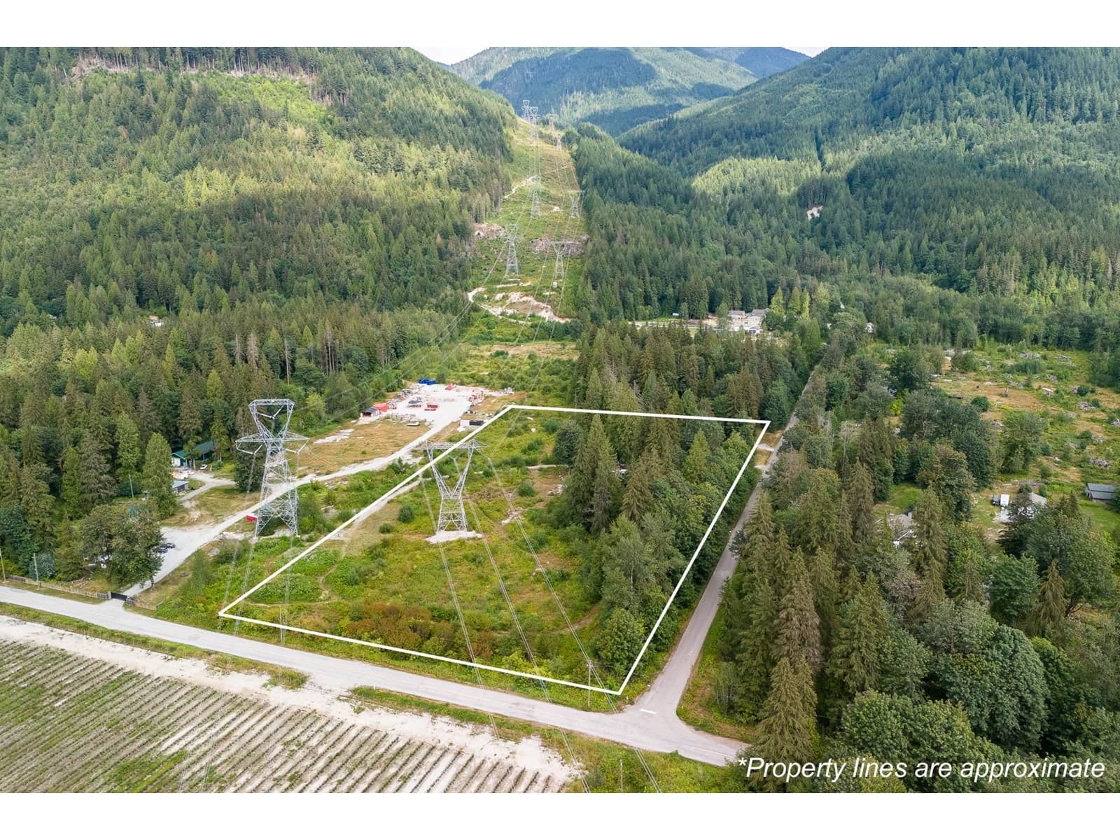 36111 RIDGEVIEW ROAD, Fraser Valley — photo 5