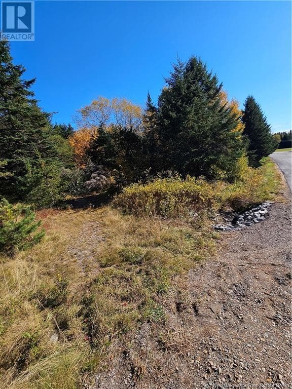 Lot Route 111 in