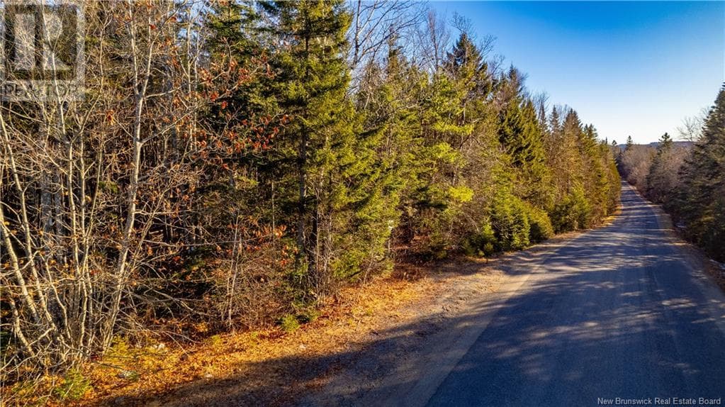 Vacant land Boyd Road in 