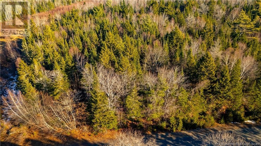 Vacant land Boyd Road, New Brunswick — photo 2