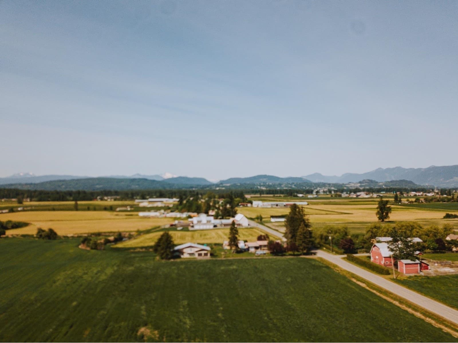 31987 TOWNSHIPLINE ROAD in Matsqui Prairie