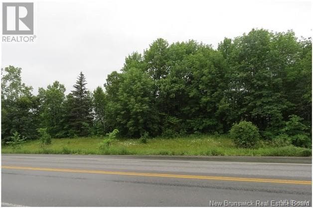 Vacant Land Woodstock/Prospect Street in 