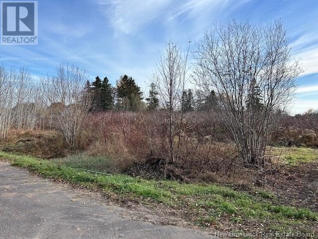 874 RIVERSIDE DRIVE, New Brunswick — photo 2