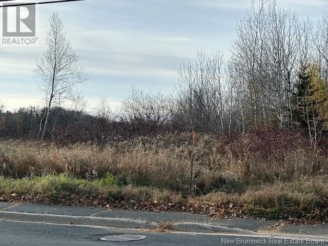 874 RIVERSIDE DRIVE, New Brunswick — photo 3