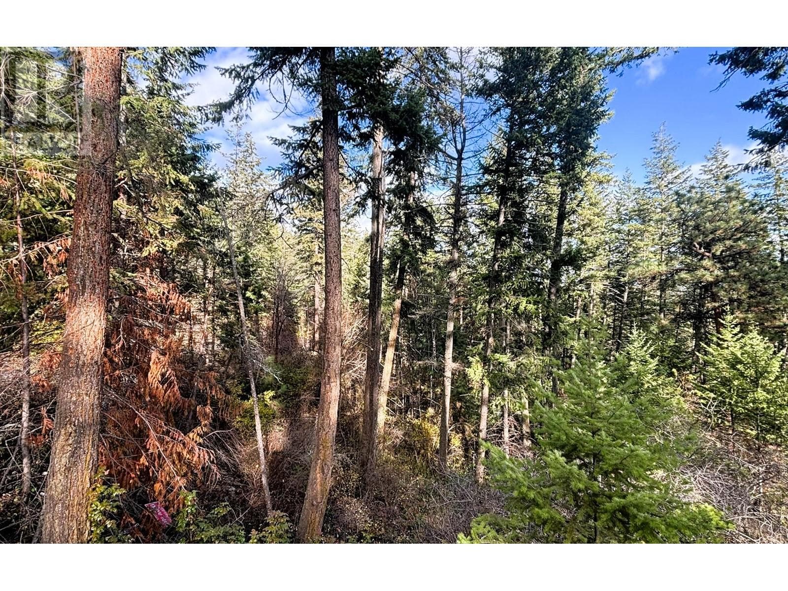 Lot 146 Keithley Road Lot# 146, Interior REALTORS® — photo 2