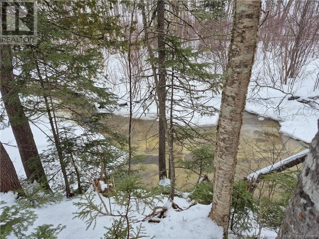 2.32 Rio Grande Street, New Brunswick — photo 2