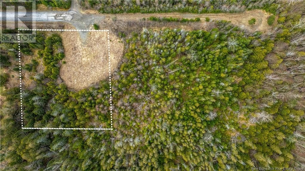 45B Crestwood Lane, New Brunswick — photo 4