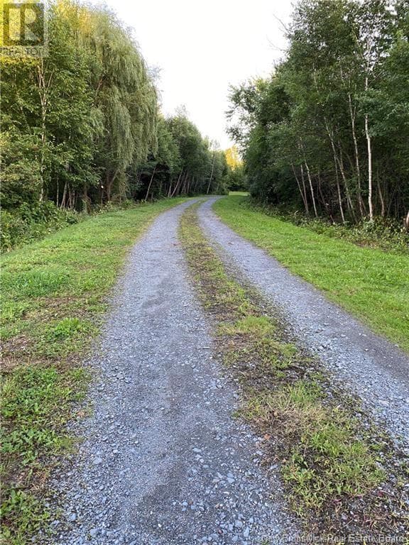 447 411 NEW MARYLAND HIGHWAY, New Brunswick — photo 4