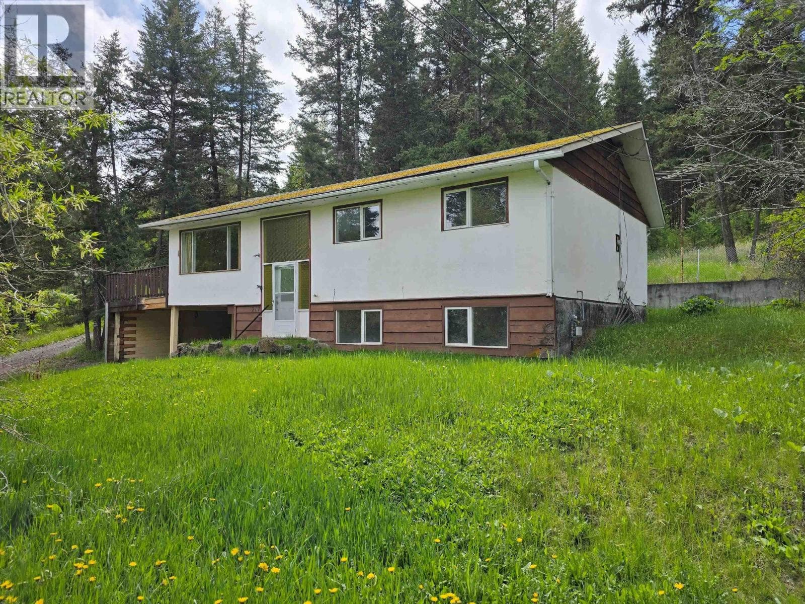 217 MOUNTVIEW DRIVE in 