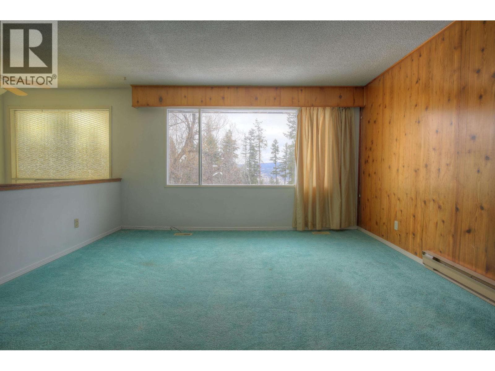 217 MOUNTVIEW DRIVE — photo 3