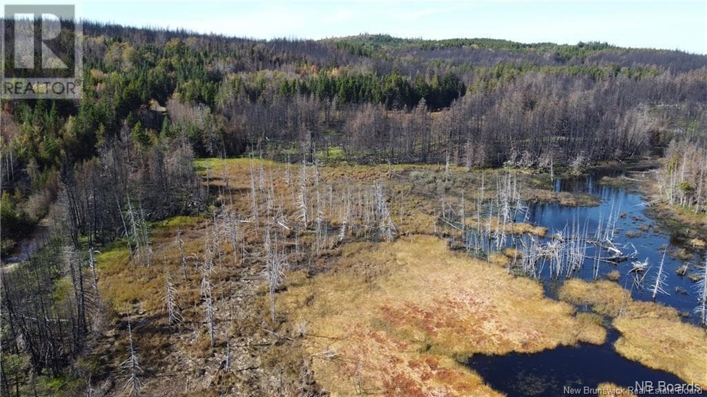 NORTHWEST 127 HIGHWAY, New Brunswick — photo 3