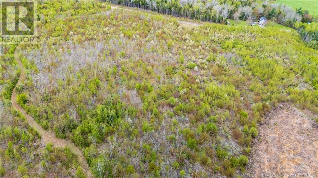 LOT 39 Davidson Road, New Brunswick — photo 4