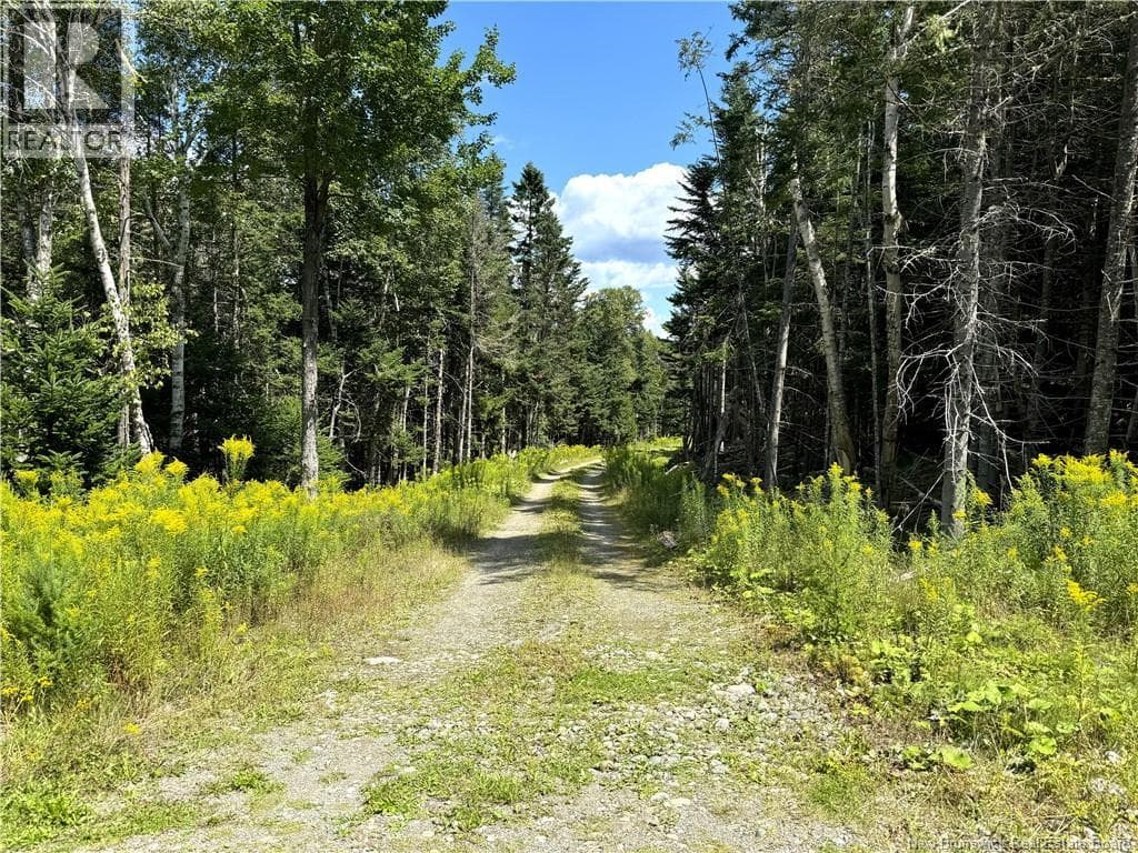 379 HILLS POINT ROAD, New Brunswick — photo 4