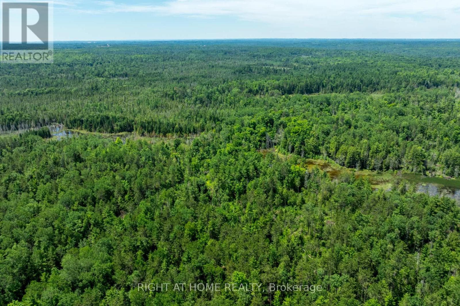 1662 COUNTY ROAD 40 ROAD in 
