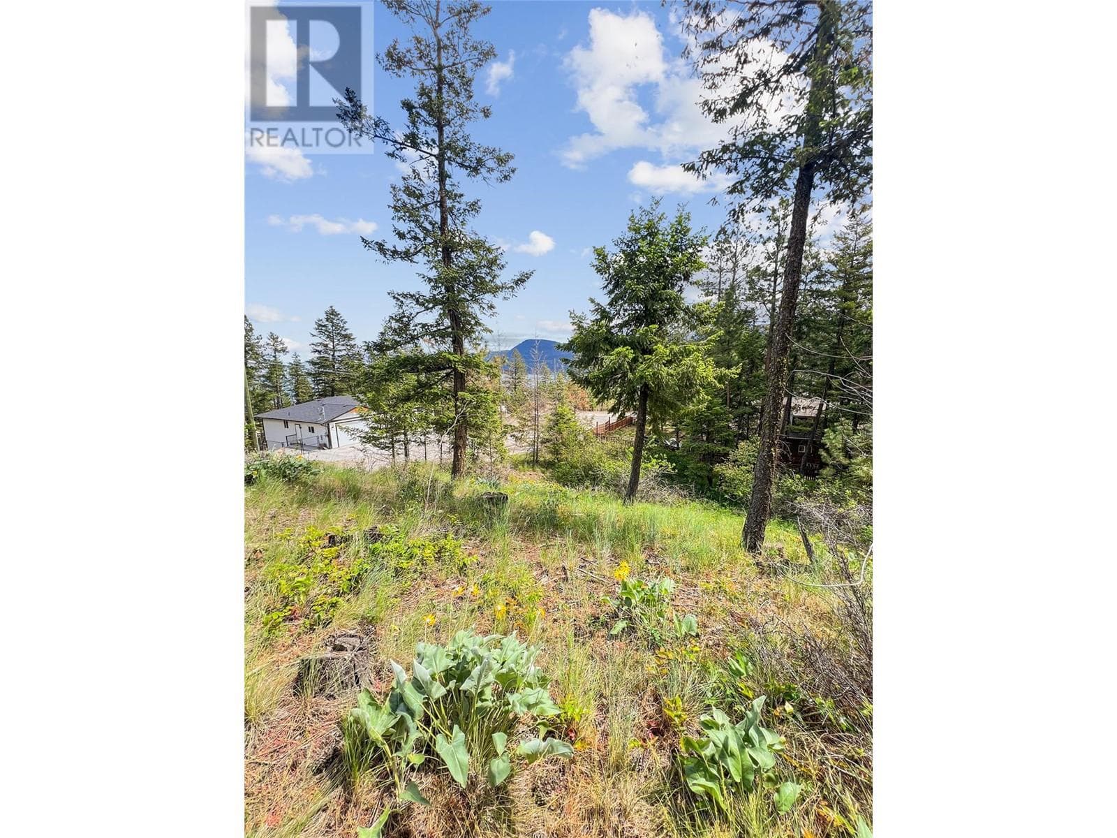 42 Muir Road, Interior REALTORS® — photo 5