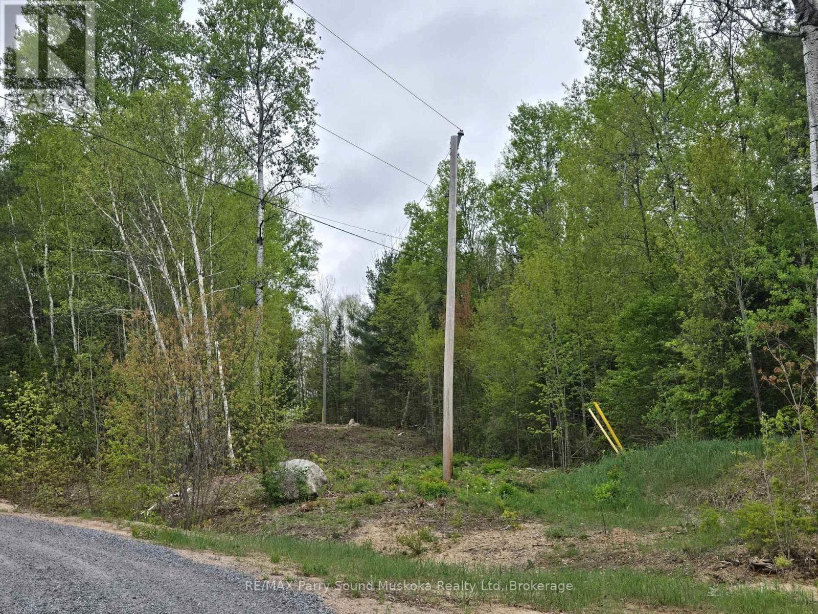 18 ROSELAWN BOULEVARD — photo 5