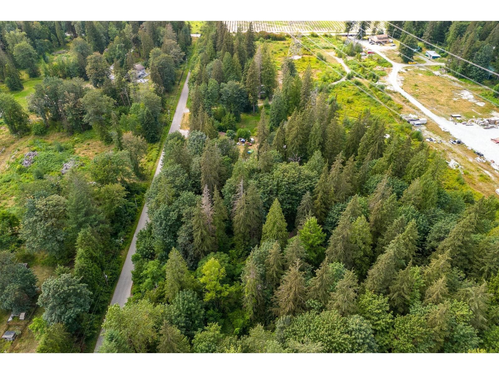 36111 RIDGEVIEW ROAD, Fraser Valley