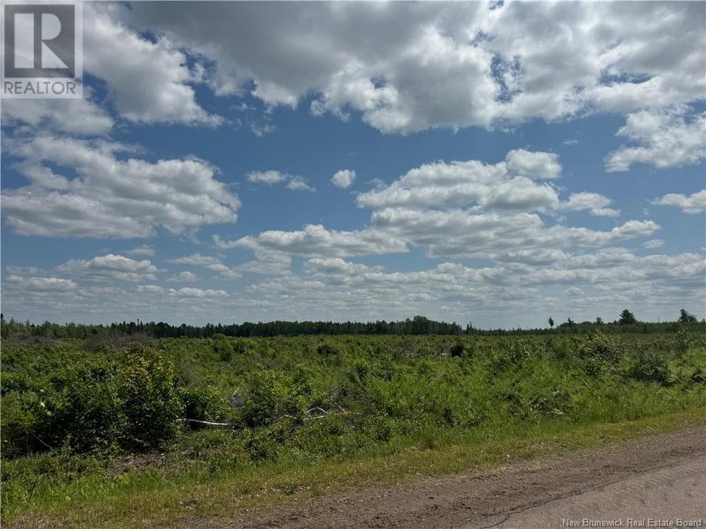 Vacant Lot Murray Road, New Brunswick — photo 4