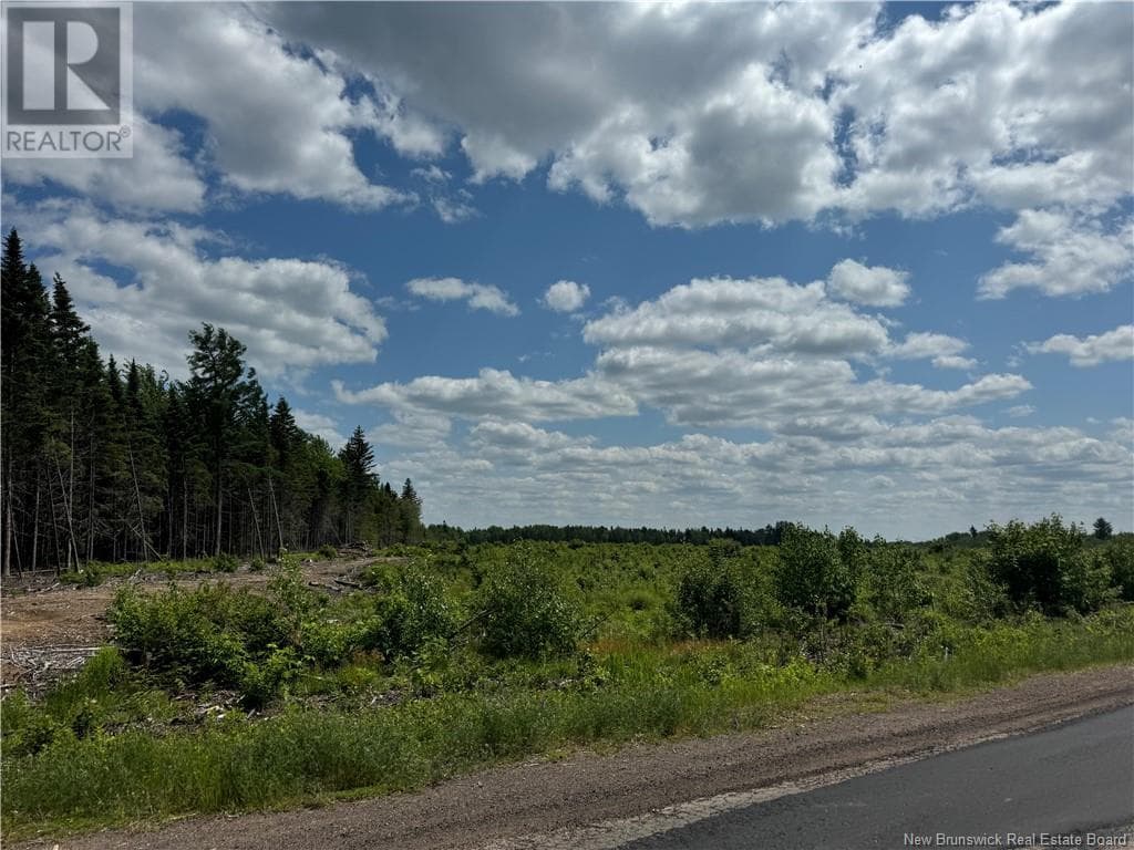 Vacant Lot Murray Road, New Brunswick — photo 2