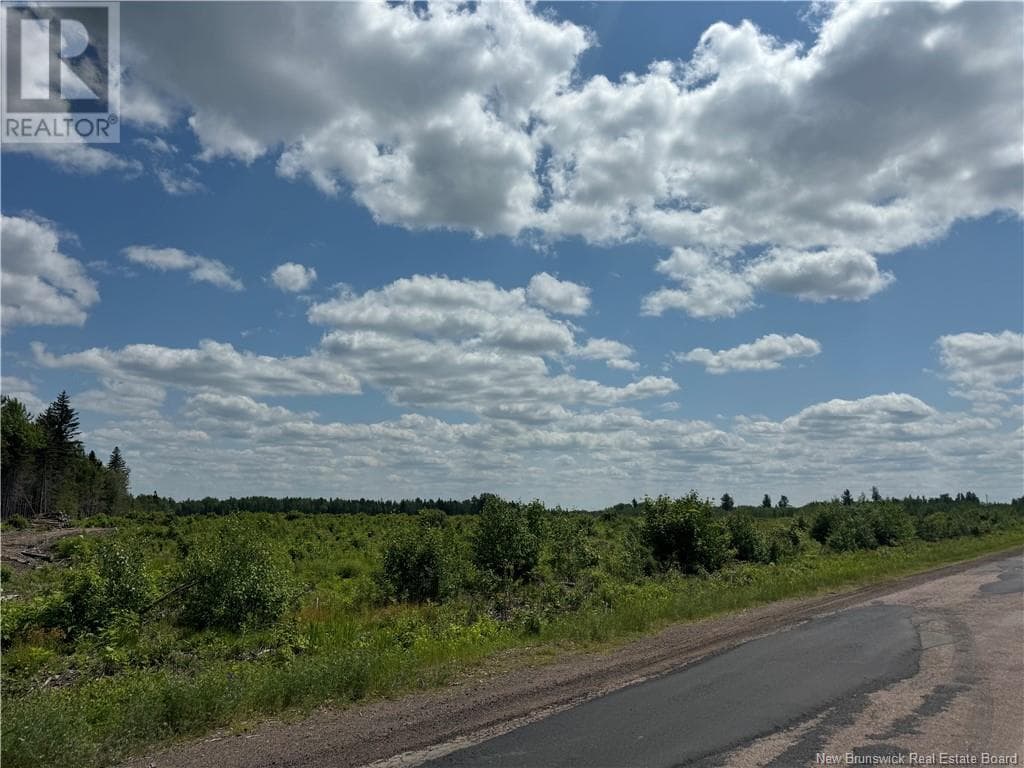 Vacant Lot Murray Road, New Brunswick — photo 3
