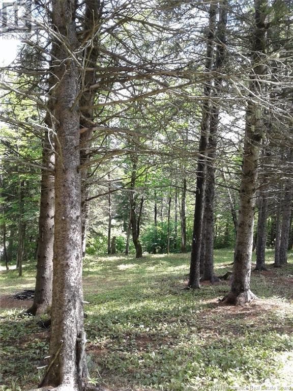Lot Route 2, New Brunswick — photo 2