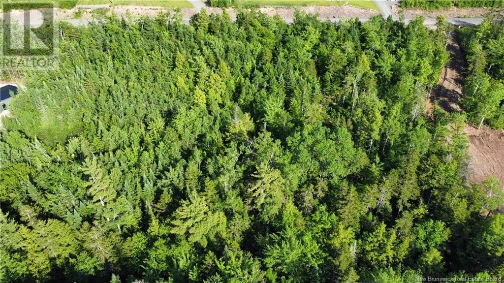 Lot 21-39 Orchard Avenue, New Brunswick — photo 5