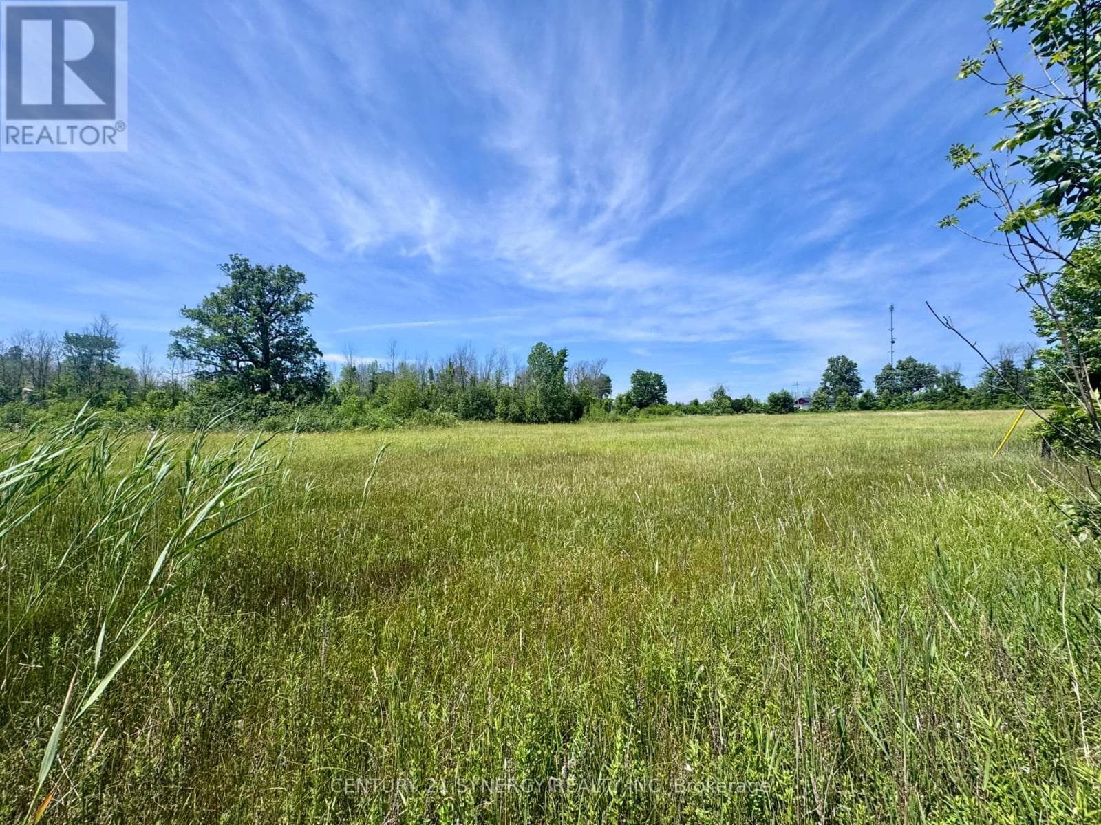 00 COUNTY ROAD 8 ROAD E, Ottawa — photo 2