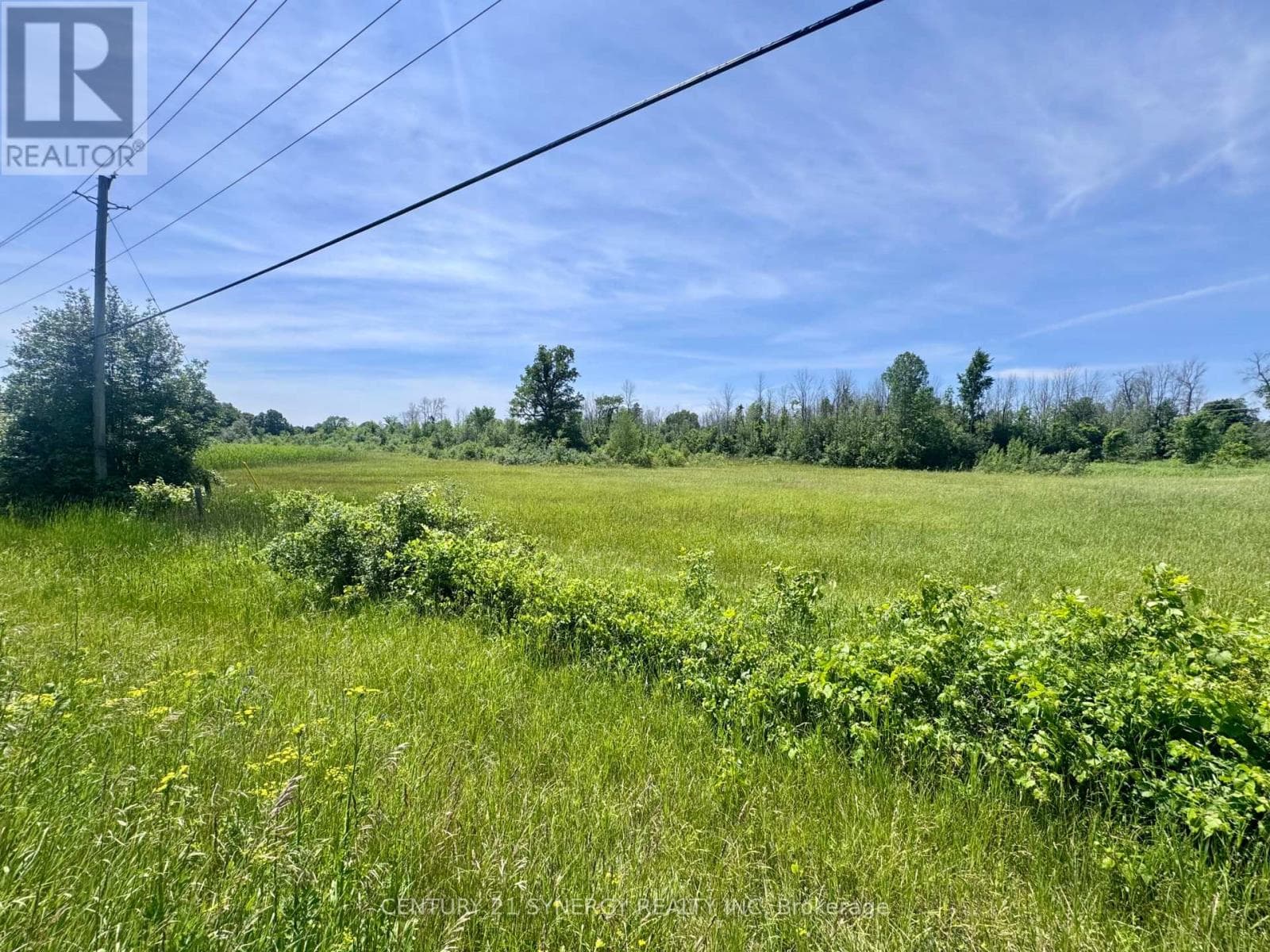 00 COUNTY ROAD 8 ROAD E, Ottawa — photo 5