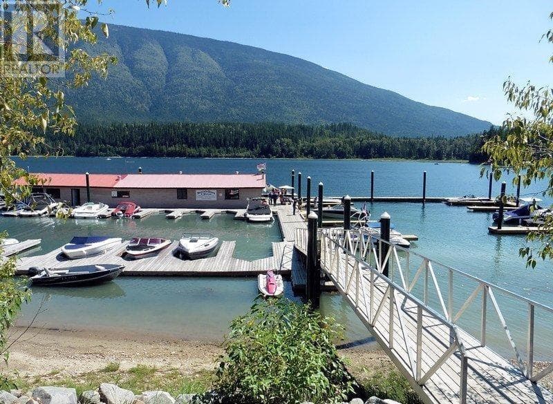 1142 SEYMOUR ARM BAIE ROAD in 