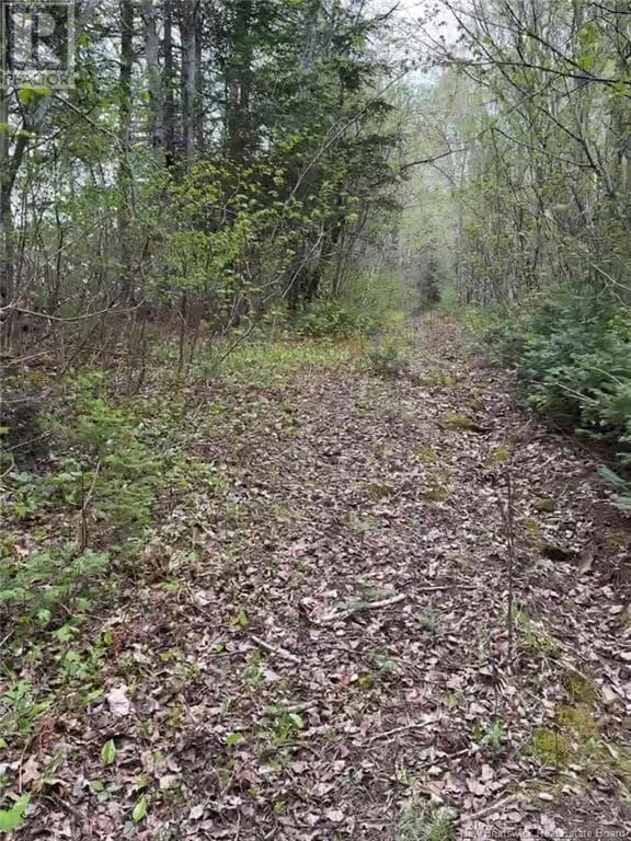 14 Acres Islandview Drive, New Brunswick — photo 2