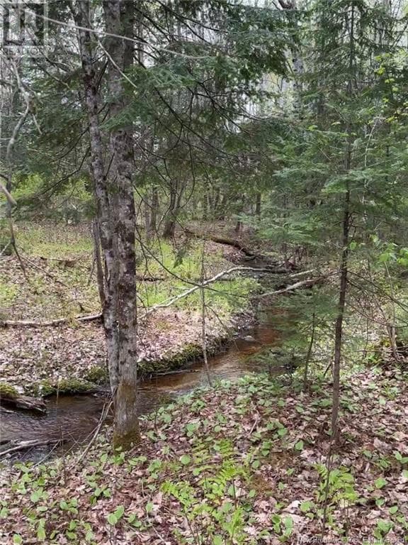 14 Acres Islandview Drive, New Brunswick — photo 3